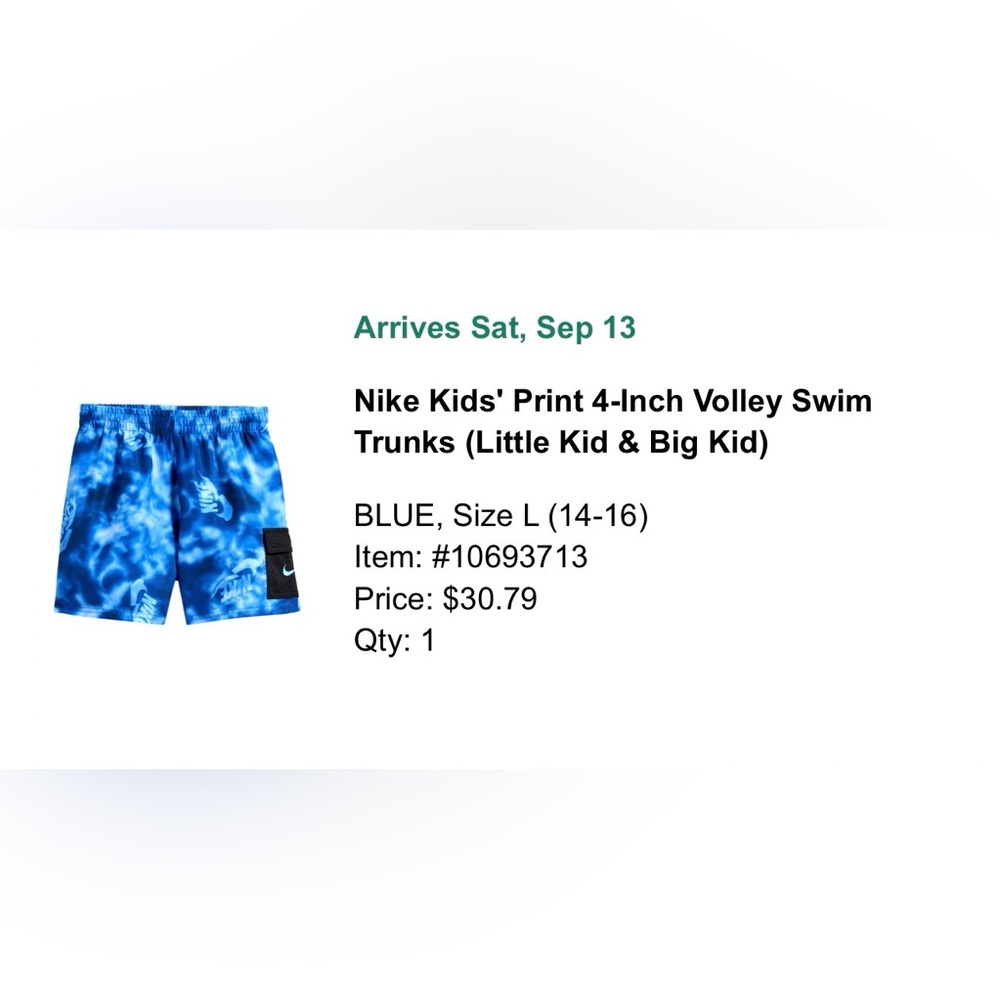 Nike 4-inch Volley Swim Trunks - Picture 4 of 5